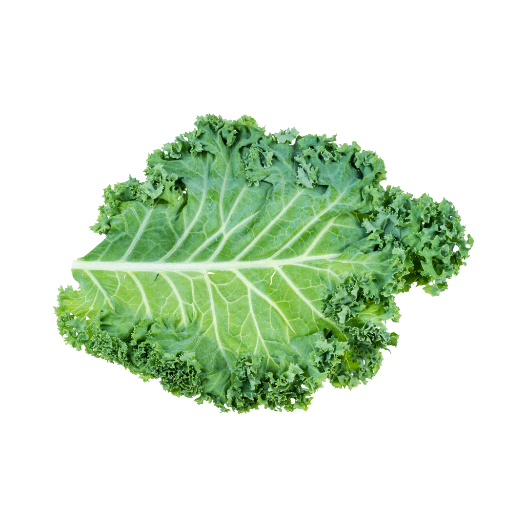 green kale leaf graphic