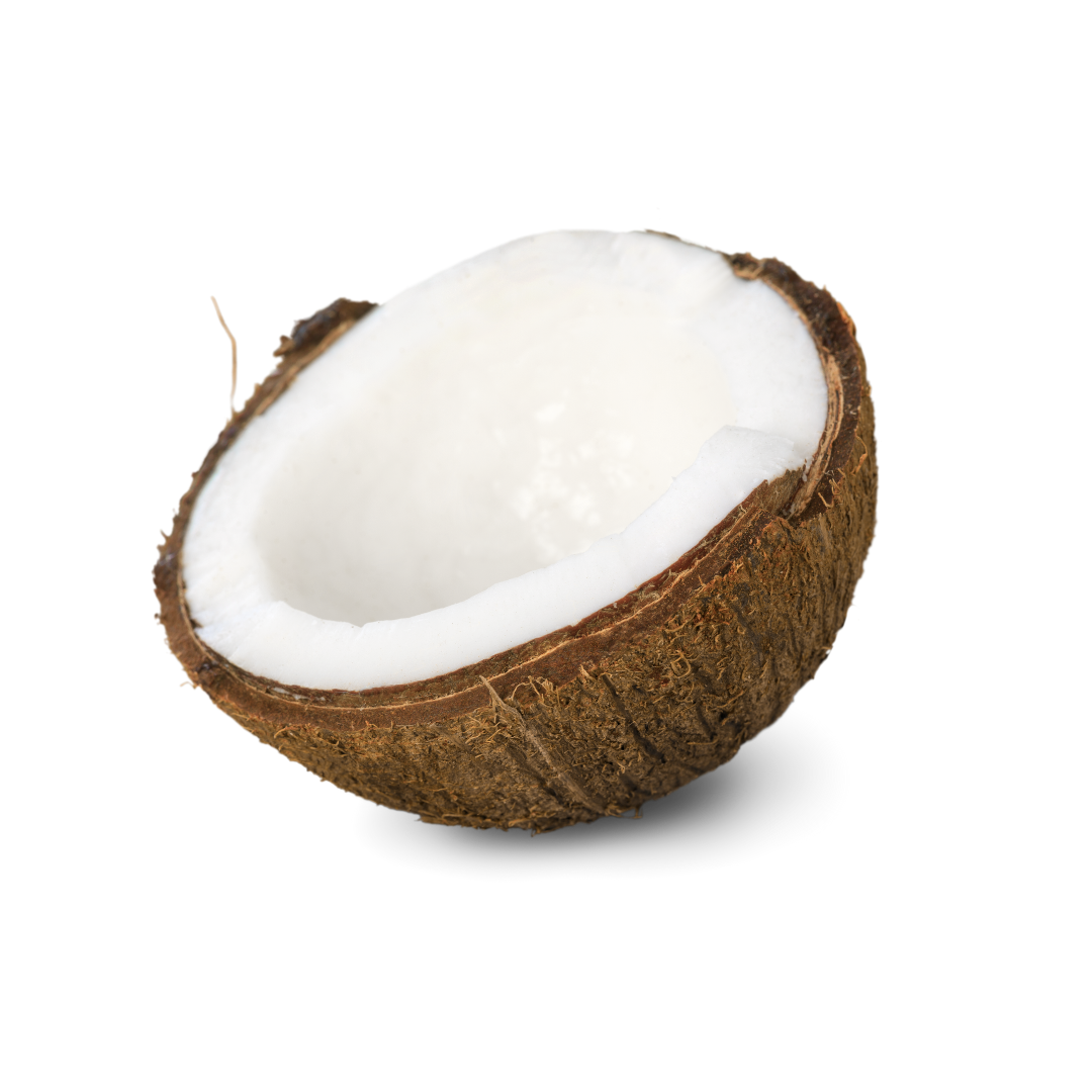 half a coconut graphic