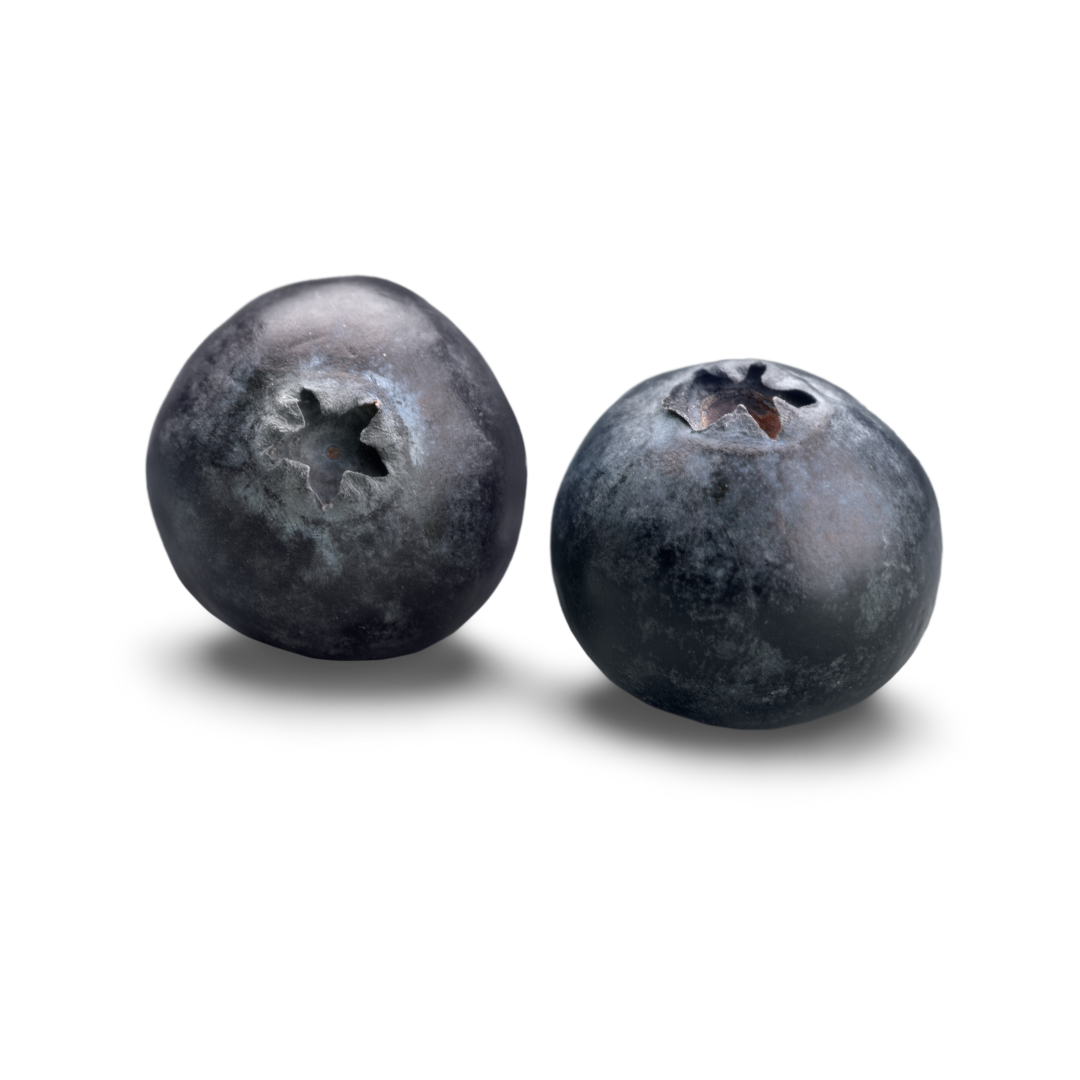 two blueberries graphic