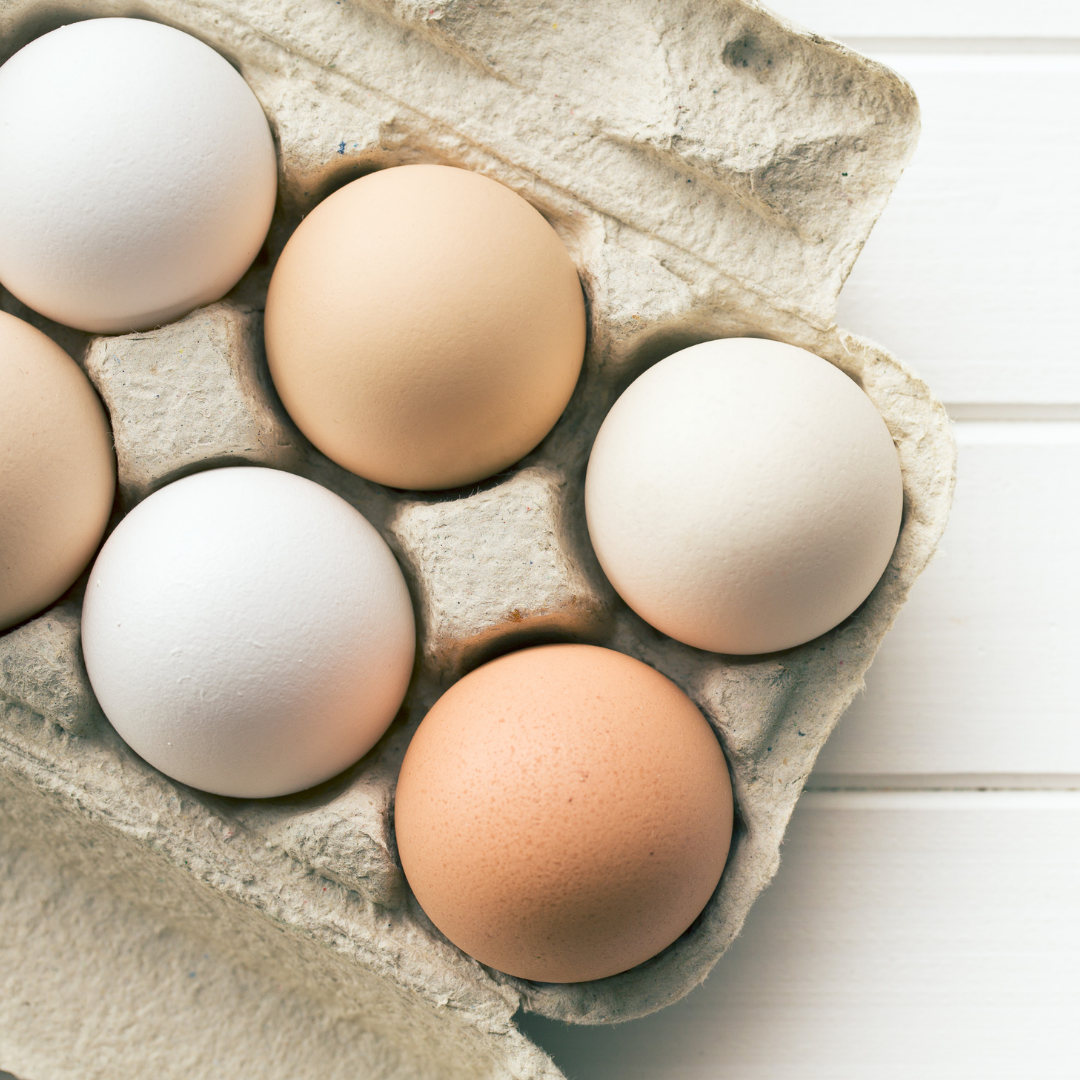 Debunking 3 Common Nutrition Myths